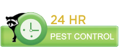 24hrpestcontrol